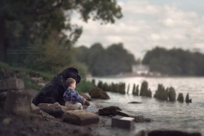 Fotógrafo russo registra o laço especial entre animais grandes e seus pequenos companheiros de vida