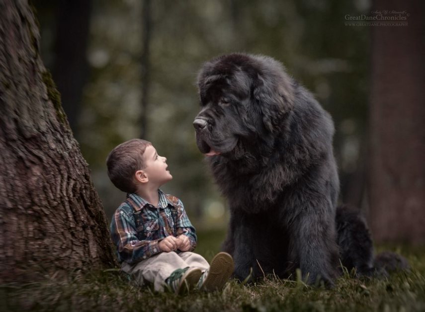 Fotógrafo russo registra o laço especial entre animais grandes e seus pequenos companheiros de vida