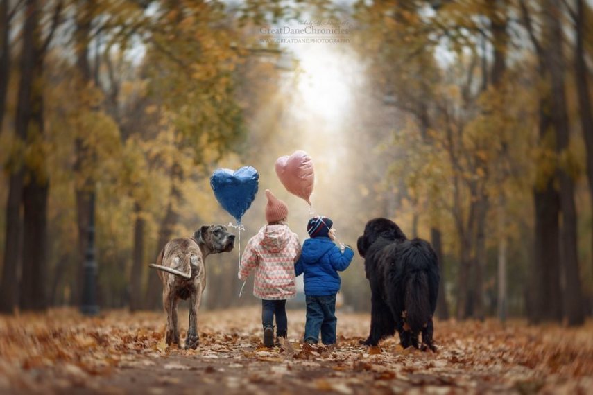 Fotógrafo russo registra o laço especial entre animais grandes e seus pequenos companheiros de vida