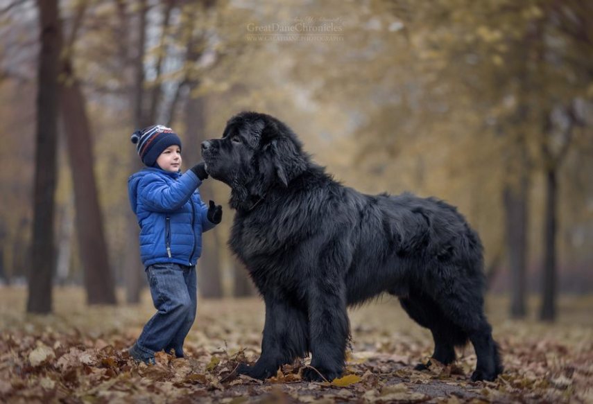 Fotógrafo russo registra o laço especial entre animais grandes e seus pequenos companheiros de vida