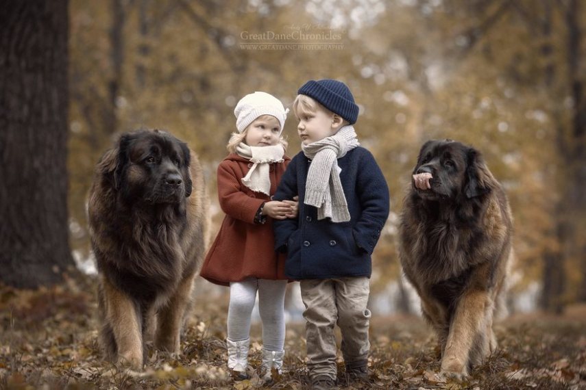Fotógrafo russo registra o laço especial entre animais grandes e seus pequenos companheiros de vida