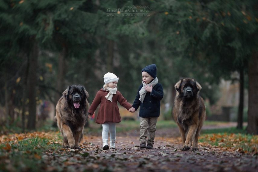 Fotógrafo russo registra o laço especial entre animais grandes e seus pequenos companheiros de vida