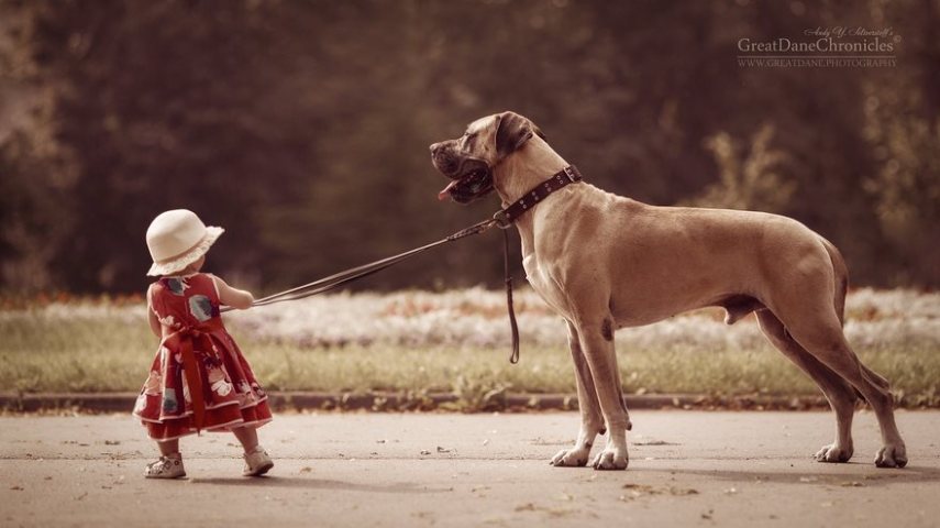 Fotógrafo russo registra o laço especial entre animais grandes e seus pequenos companheiros de vida