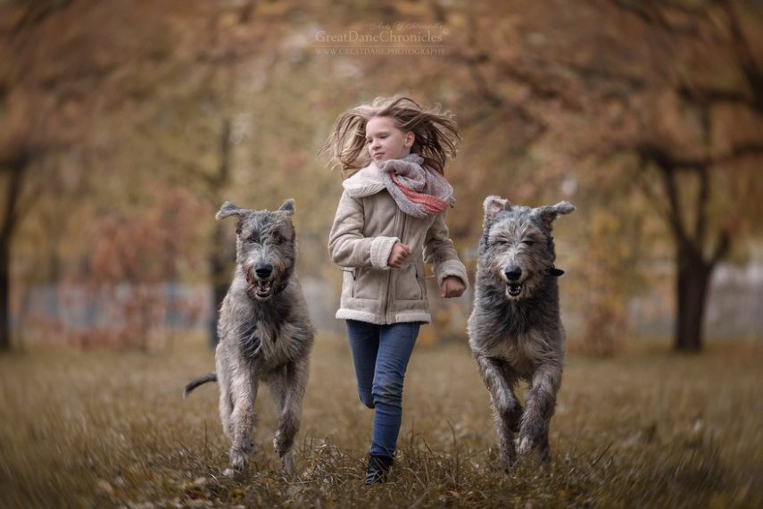 Fotógrafo russo registra o laço especial entre animais grandes e seus pequenos companheiros de vida