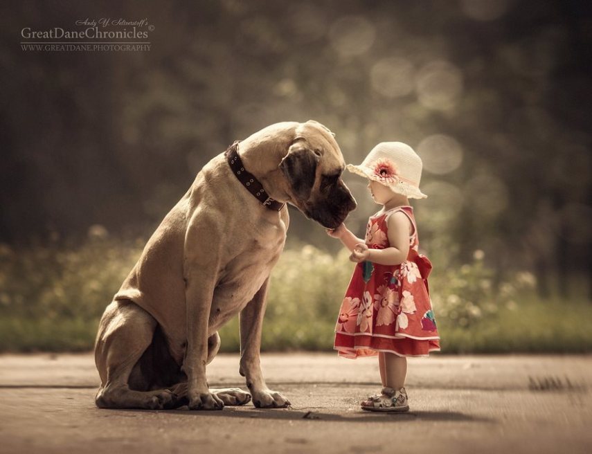 Fotógrafo russo registra o laço especial entre animais grandes e seus pequenos companheiros de vida