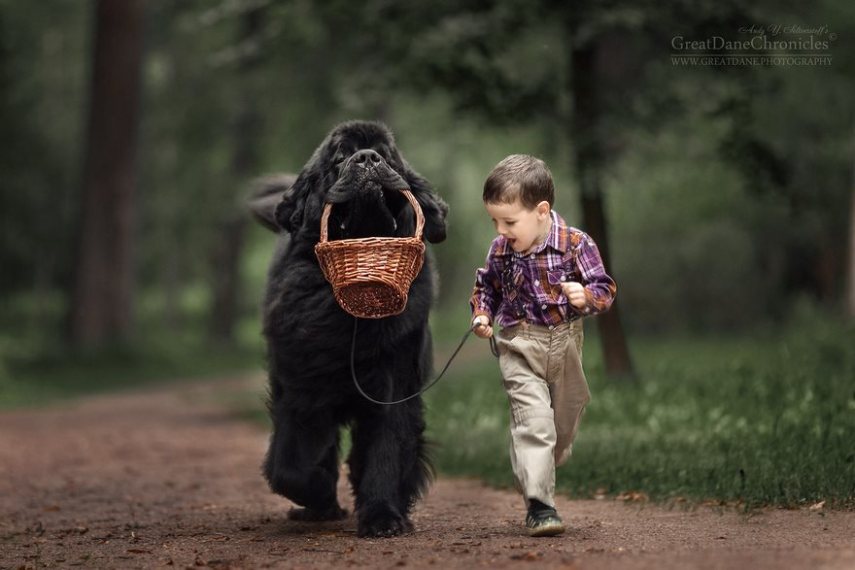 Fotógrafo russo registra o laço especial entre animais grandes e seus pequenos companheiros de vida