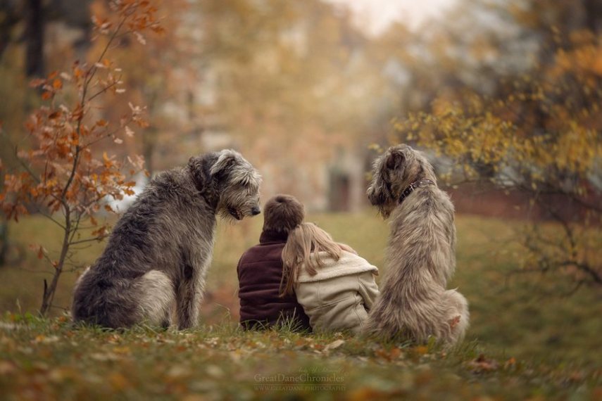 Fotógrafo russo registra o laço especial entre animais grandes e seus pequenos companheiros de vida