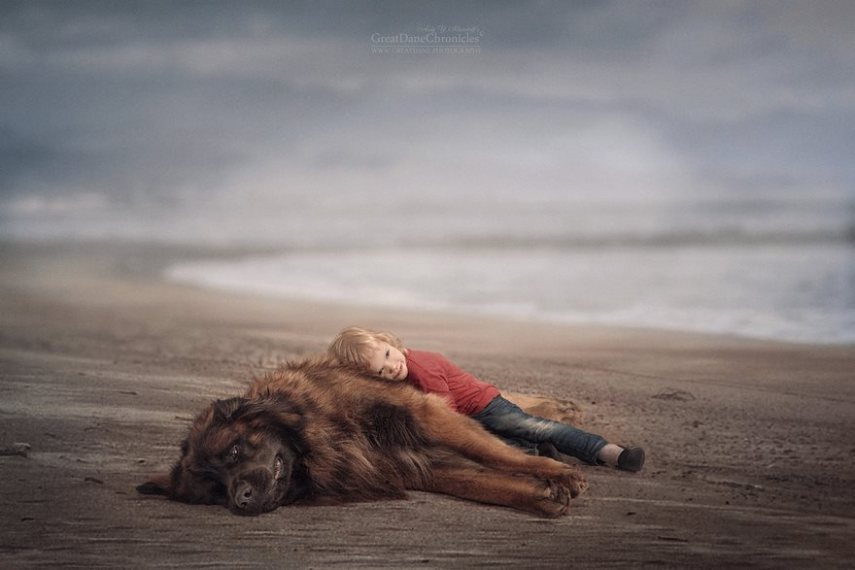 Fotógrafo russo registra o laço especial entre animais grandes e seus pequenos companheiros de vida