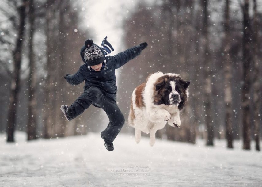 Fotógrafo russo registra o laço especial entre animais grandes e seus pequenos companheiros de vida