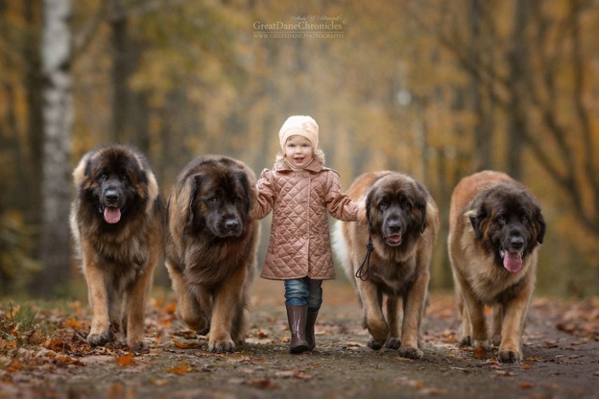 Fotógrafo russo registra o laço especial entre animais grandes e seus pequenos companheiros de vida