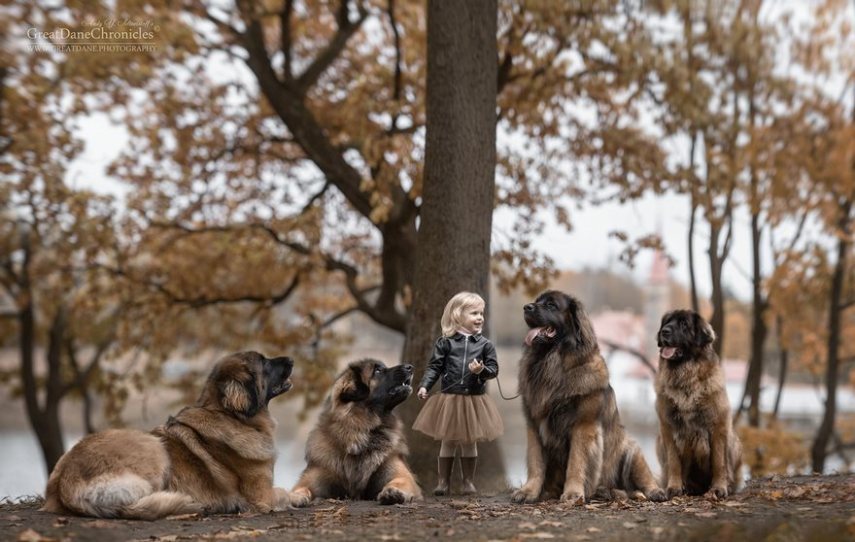Fotógrafo russo registra o laço especial entre animais grandes e seus pequenos companheiros de vida