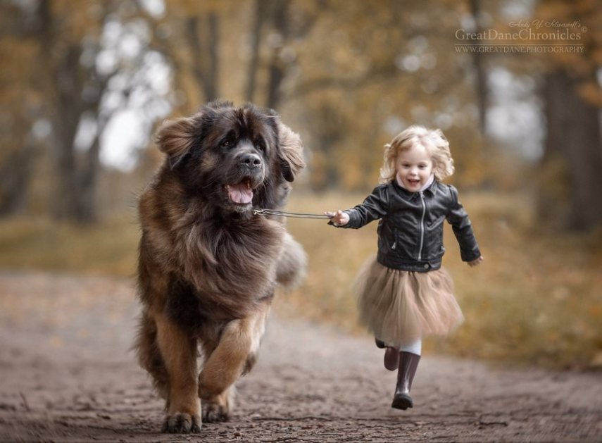 Fotógrafo russo registra o laço especial entre animais grandes e seus pequenos companheiros de vida