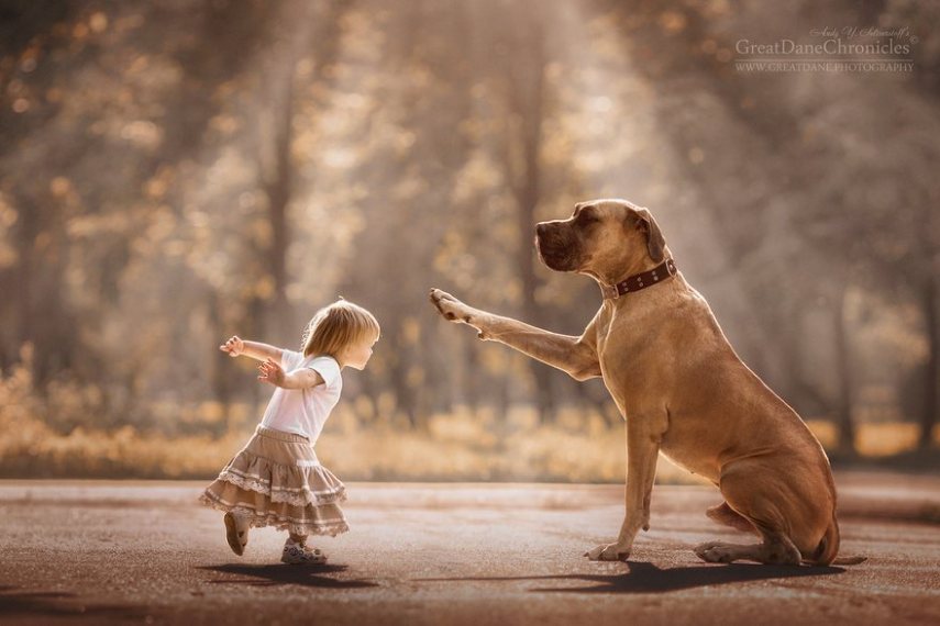 Fotógrafo russo registra o laço especial entre animais grandes e seus pequenos companheiros de vida