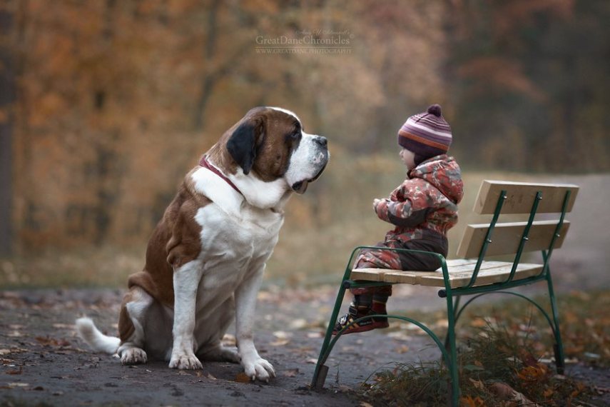 Fotógrafo russo registra o laço especial entre animais grandes e seus pequenos companheiros de vida