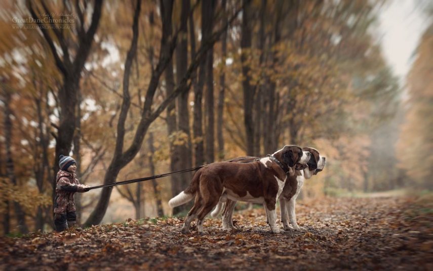 Fotógrafo russo registra o laço especial entre animais grandes e seus pequenos companheiros de vida