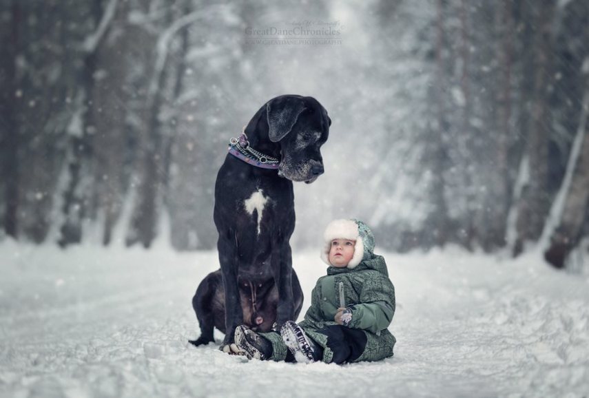 Fotógrafo russo registra o laço especial entre animais grandes e seus pequenos companheiros de vida