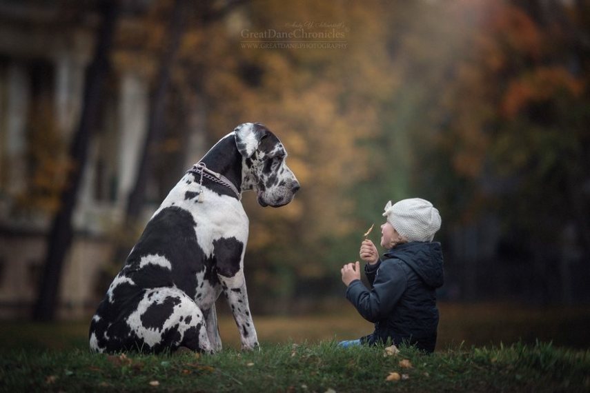 Fotógrafo russo registra o laço especial entre animais grandes e seus pequenos companheiros de vida