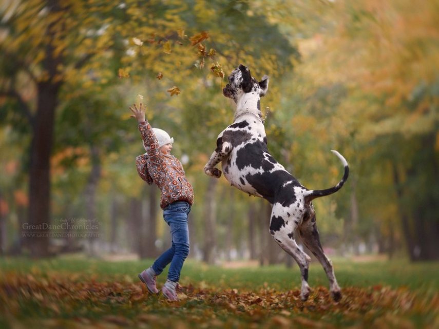 Fotógrafo russo registra o laço especial entre animais grandes e seus pequenos companheiros de vida