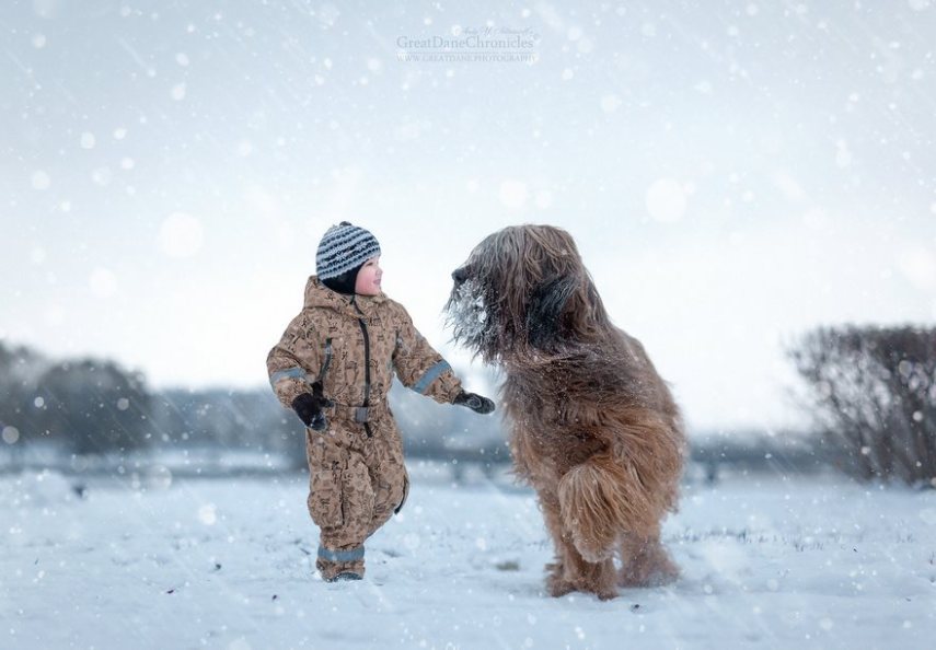 Fotógrafo russo registra o laço especial entre animais grandes e seus pequenos companheiros de vida