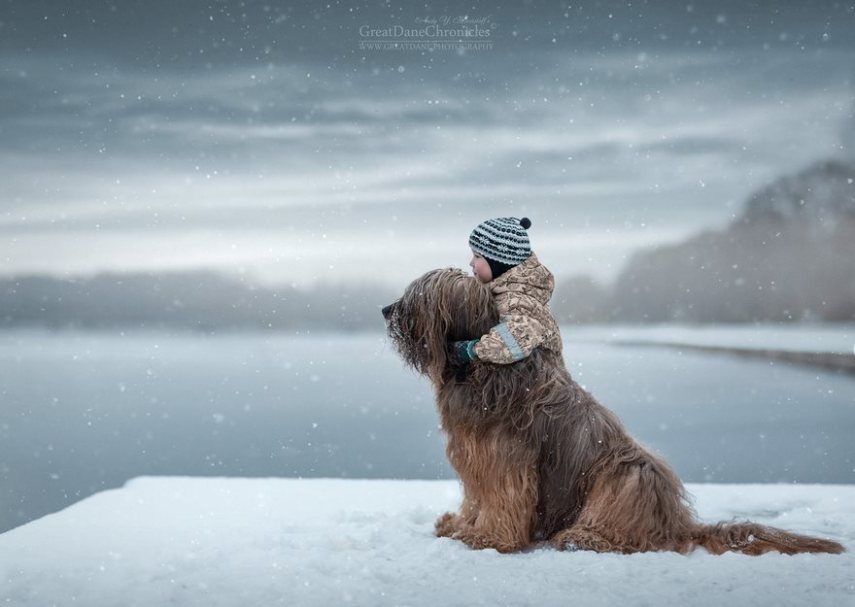 Fotógrafo russo registra o laço especial entre animais grandes e seus pequenos companheiros de vida