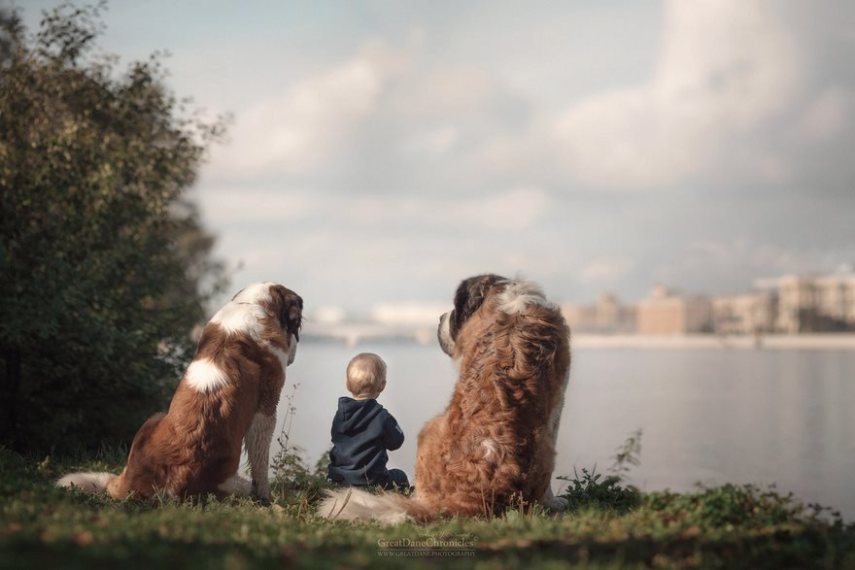 Fotógrafo russo registra o laço especial entre animais grandes e seus pequenos companheiros de vida