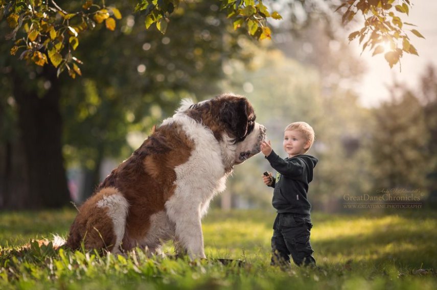 Fotógrafo russo registra o laço especial entre animais grandes e seus pequenos companheiros de vida