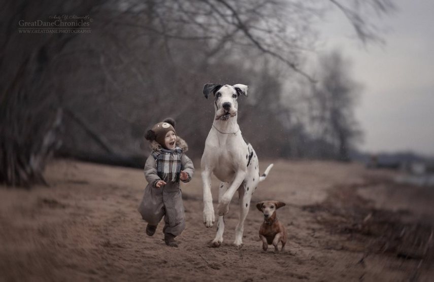 Fotógrafo russo registra o laço especial entre animais grandes e seus pequenos companheiros de vida