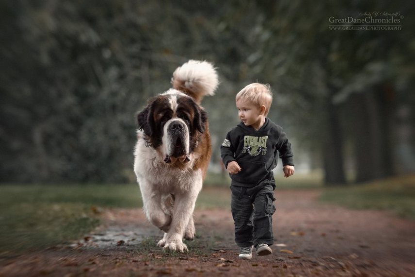Fotógrafo russo registra o laço especial entre animais grandes e seus pequenos companheiros de vida