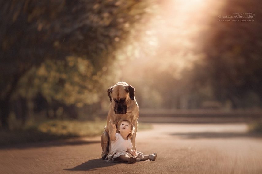 Fotógrafo russo registra o laço especial entre animais grandes e seus pequenos companheiros de vida