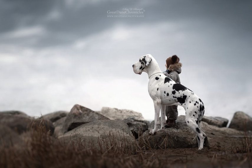 Fotógrafo russo registra o laço especial entre animais grandes e seus pequenos companheiros de vida