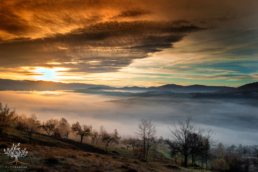 Fotógrafo aproveita primeiros raios de sol da manhã para conseguir o clique perfeito de campos e colinas na Transilvânia