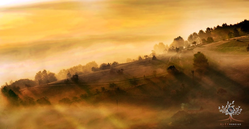 Fotógrafo aproveita primeiros raios de sol da manhã para conseguir o clique perfeito de campos e colinas na Transilvânia
