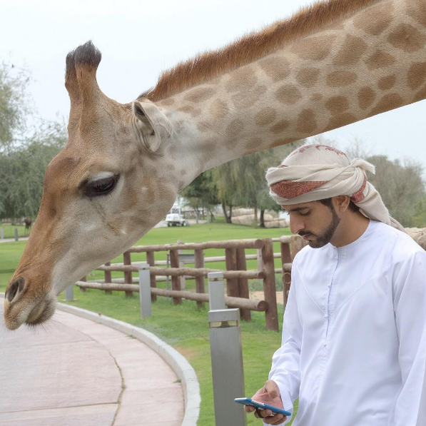 Fazza, como é conhecido, tem milhõe de seguidores no Instagram e divide sua vida de luxo com esportes radicais e convivência com animais selvagens