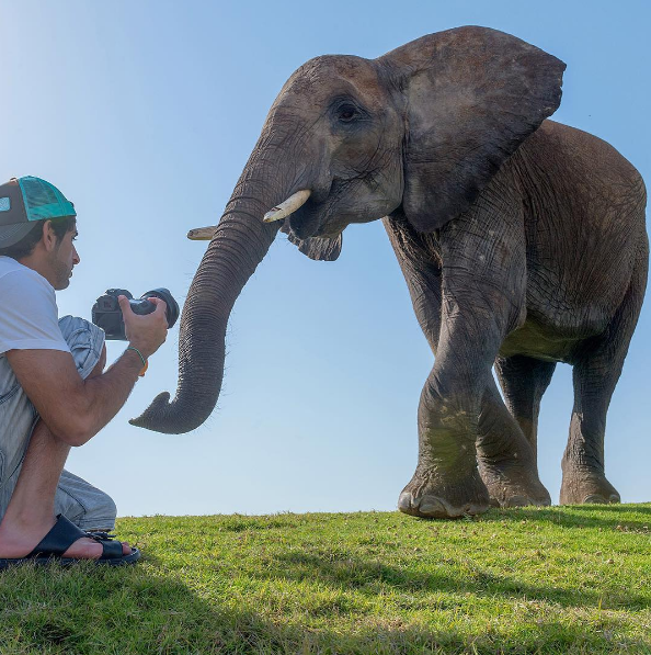 Fazza, como é conhecido, tem milhõe de seguidores no Instagram e divide sua vida de luxo com esportes radicais e convivência com animais selvagens