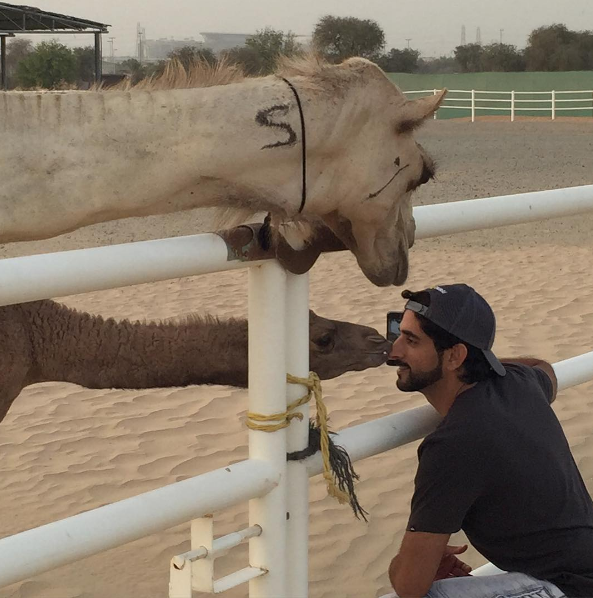 Fazza, como é conhecido, tem milhõe de seguidores no Instagram e divide sua vida de luxo com esportes radicais e convivência com animais selvagens