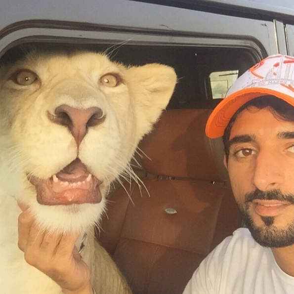 Fazza, como é conhecido, tem milhõe de seguidores no Instagram e divide sua vida de luxo com esportes radicais e convivência com animais selvagens