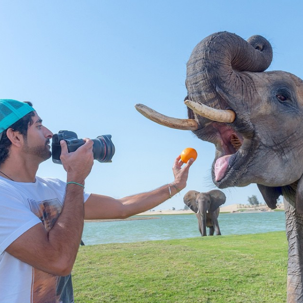Fazza, como é conhecido, tem milhõe de seguidores no Instagram e divide sua vida de luxo com esportes radicais e convivência com animais selvagens