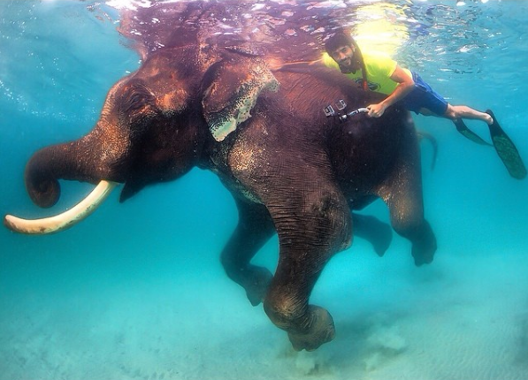 Fazza, como é conhecido, tem milhõe de seguidores no Instagram e divide sua vida de luxo com esportes radicais e convivência com animais selvagens
