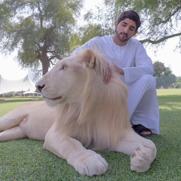 Fazza, como é conhecido, tem milhõe de seguidores no Instagram e divide sua vida de luxo com esportes radicais e convivência com animais selvagens