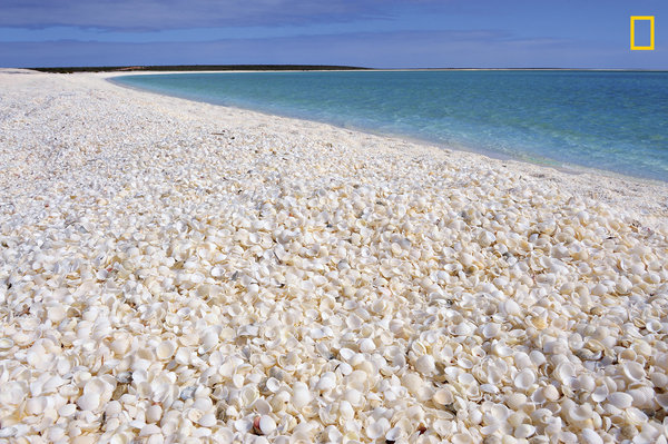 Praia das Conchas, Shark Bay, na Austrália