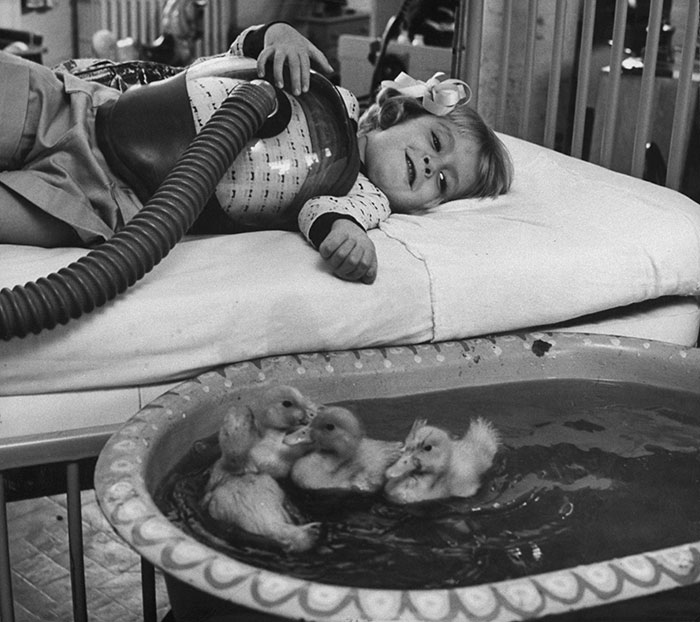 Fotos históricas para aquecer o coração