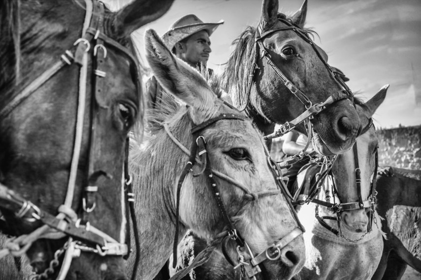 Série O Agridoce Agrestino, do fotógrafo documental Marcelo Oséas