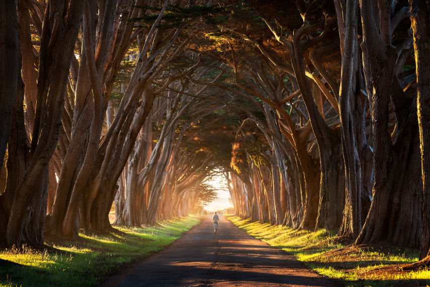 Guido Diana é um fotógrafo que, em setembro de 2016, realizou o sonho de viajar e fotografar pela América do Norte