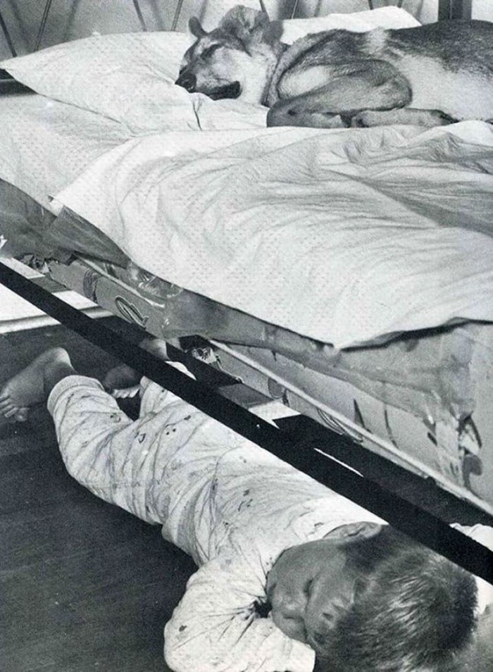 Fotos históricas para aquecer o coração