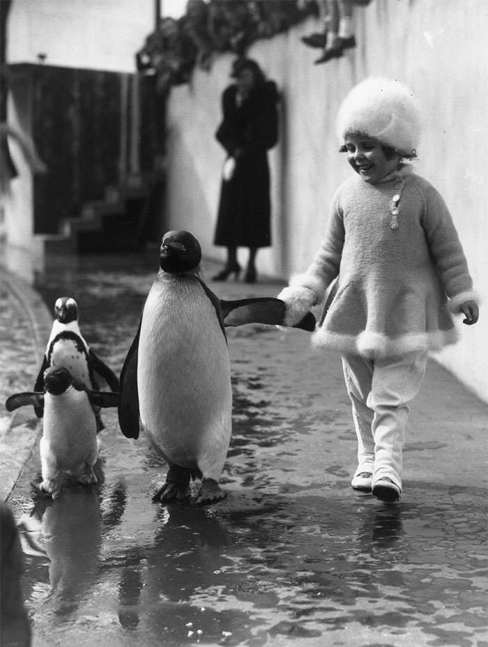 Fotos históricas para aquecer o coração