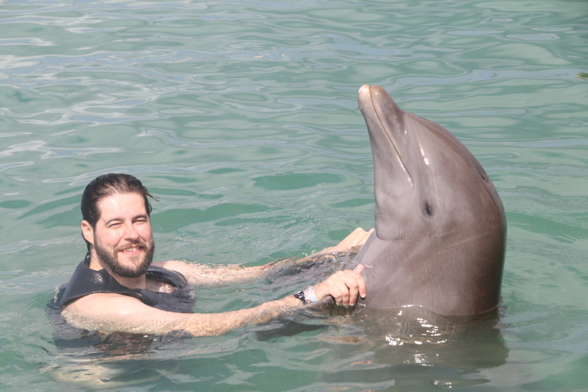 Uma experiência única de mergulho com golfinhos.