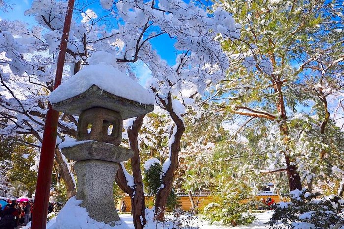 A antiga capital japonesa tem vivido alguns de seus dias mais frios no Inverno, com temperaturas menores que 0° Celsius. Com isso, Kyoto virou um mundo mágico branco, cheinho de neve