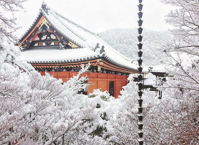 A antiga capital japonesa tem vivido alguns de seus dias mais frios no Inverno, com temperaturas menores que 0° Celsius. Com isso, Kyoto virou um mundo mágico branco, cheinho de neve