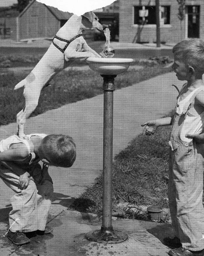 Fotos históricas para aquecer o coração