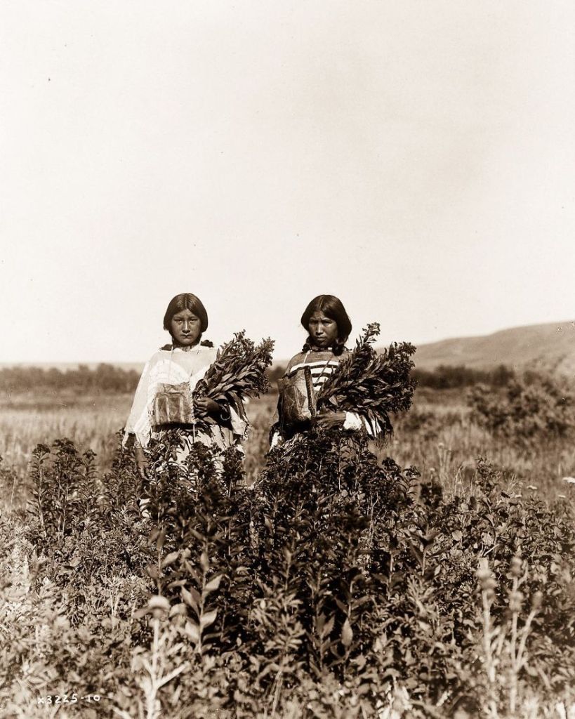 Edward Sheriff Curtis dedicou décadas de sua vida para capturar e gravar o estilo de vida dos povos nativos e suas tribos na América do Norte